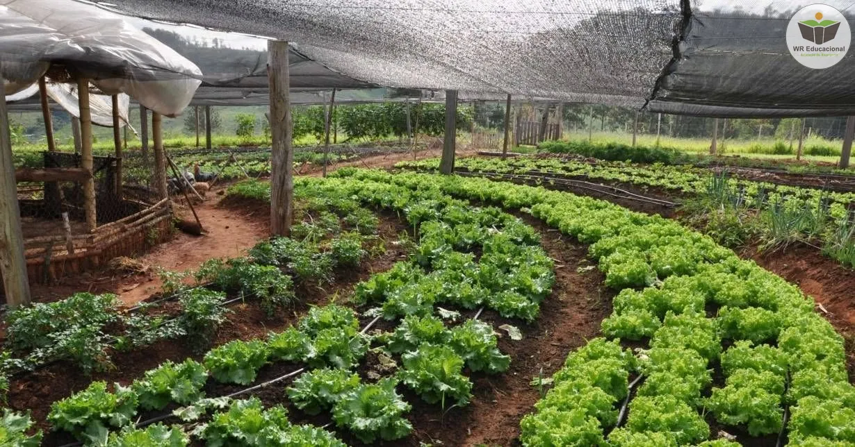 Cursos de Noções Básicas em Agricultura Orgânica