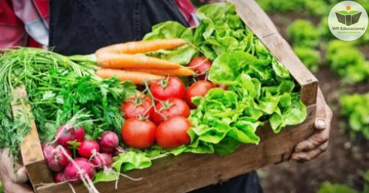 Cursos de Introdução a Agricultura Orgânica