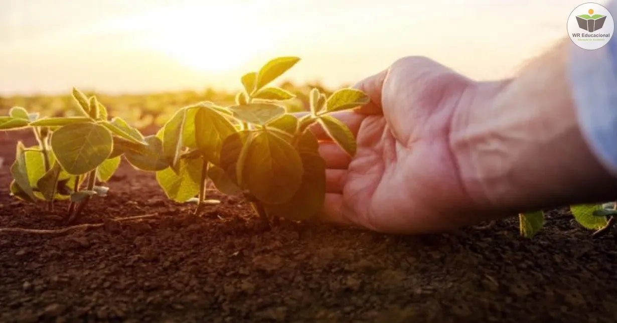 Cursos de Regulamentação técnica da agricultura orgânica no Brasil