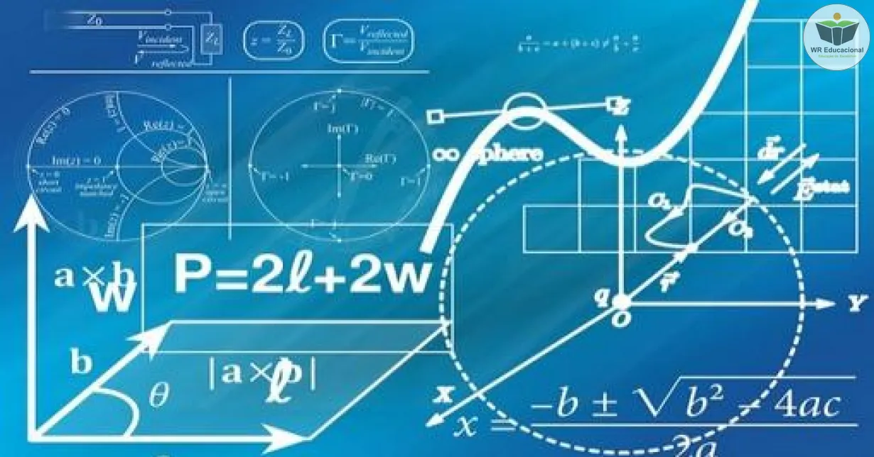 Cursos de Funções e o Movimento da Matemática Moderna