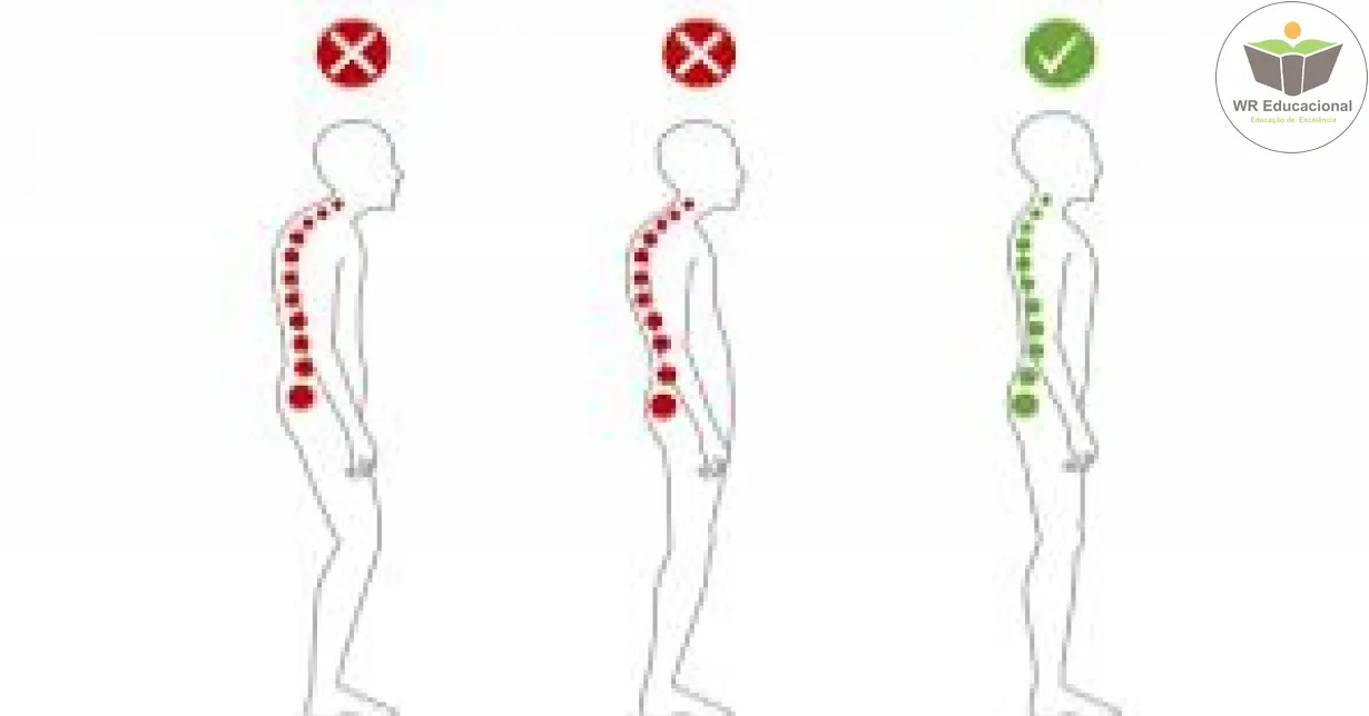 Cursos de Postura e Controle Postural