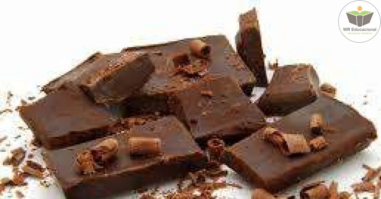 Cursos de Chocoterapia