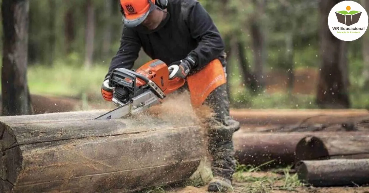 Cursos de Avaliação de Segurança do Trabalho de Operadores de Motosserra