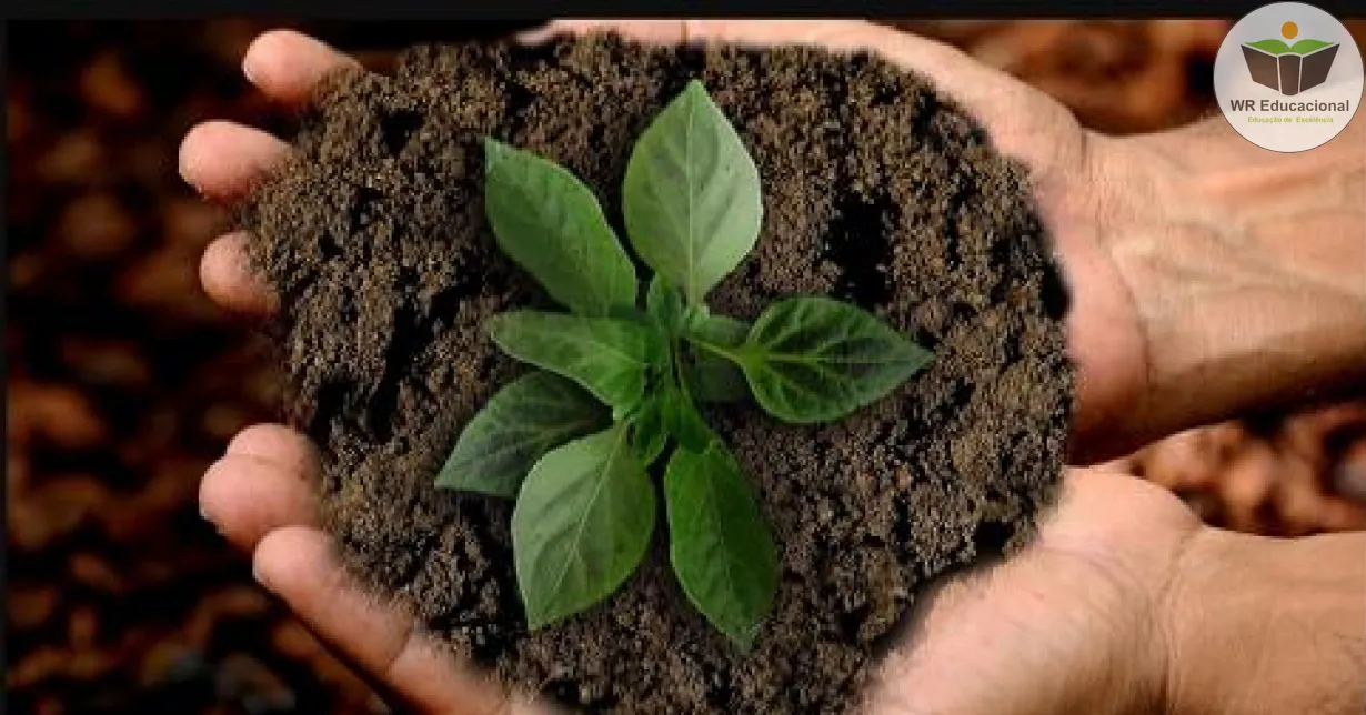 Cursos de FUNDAMENTOS DAS TÉCNICAS SUSTENTÁVEIS