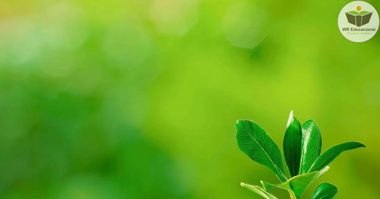 Cursos de Meio Ambiente em Inteligência Estratégica