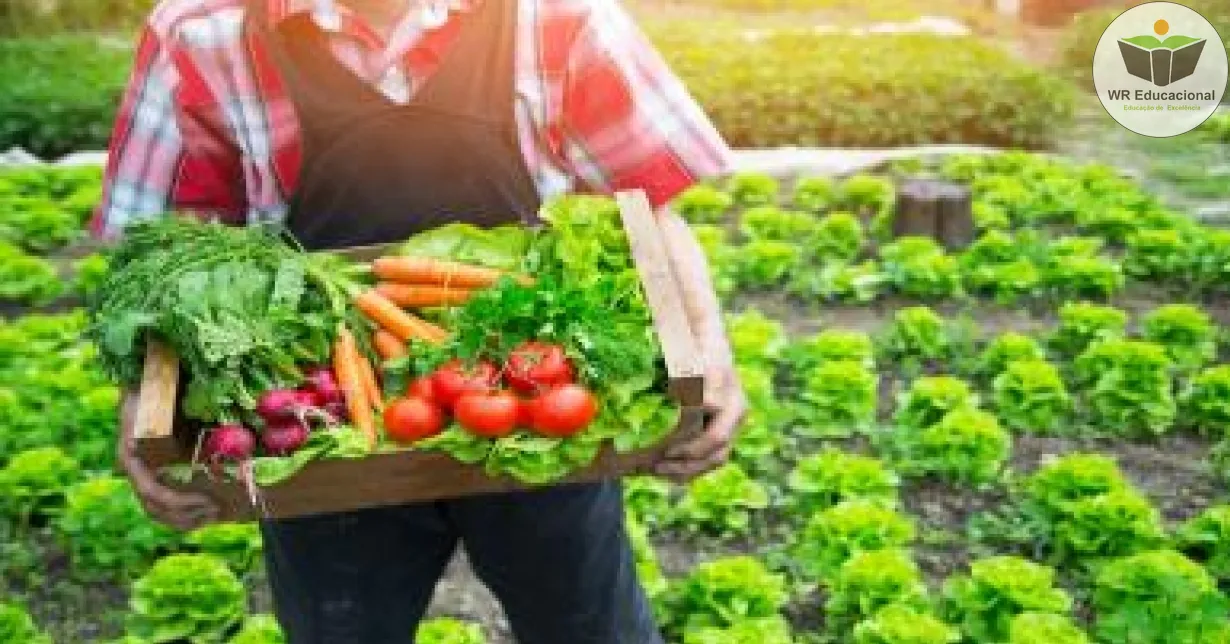 Cursos de Produção de Sementes de Hortaliças para a Agricultura Familiar