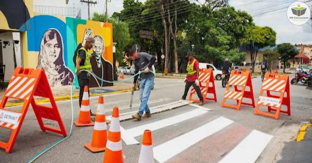 Cursos de INTRODUÇÃO AO TRÂNSITO E MOBILIDADE HUMANA