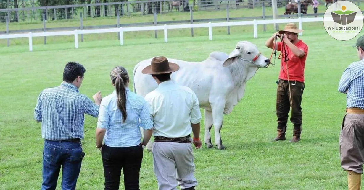 Cursos de Auxiliar em Agropecuária