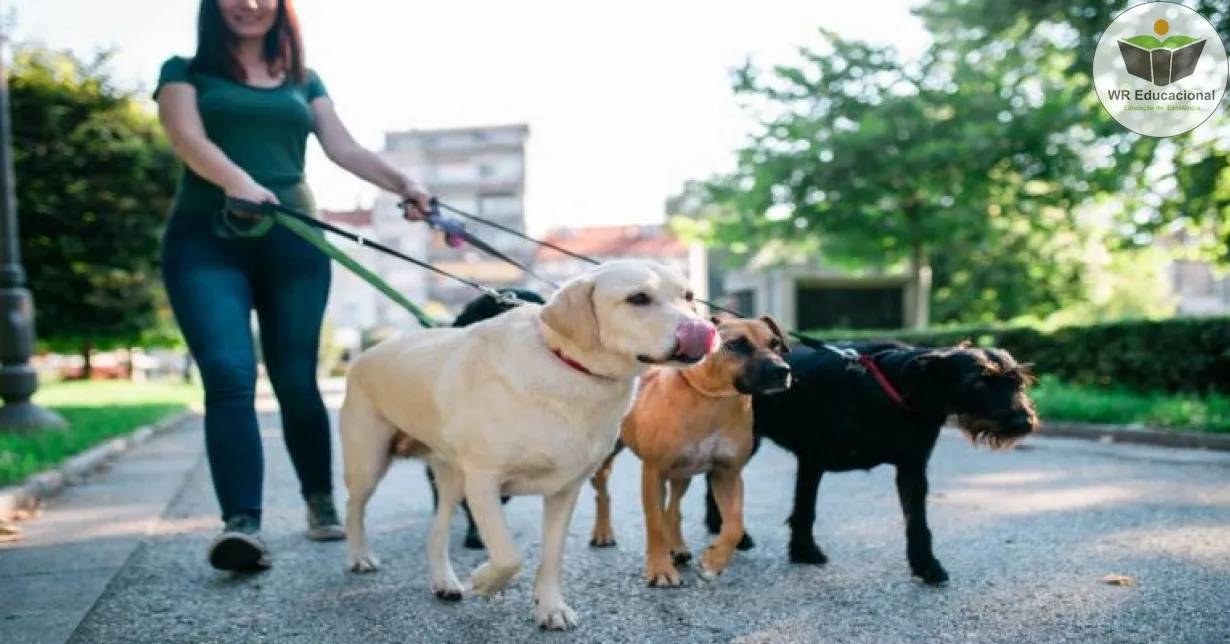 Cursos de Dog Walker