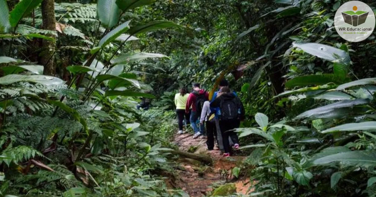 Cursos de Ecoturismo e seu impacto no meio ambiente