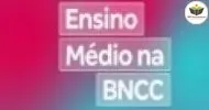 Cursos de Introdução ao Ensino Médio e Estruturas da BNCC