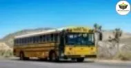 Cursos de Auxiliar de Transporte Escolar