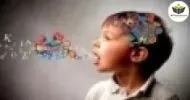 Cursos de Neuropedagogia e a Inclusão