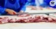 Cursos de Básico de Abate e Processamento de Carnes e Derivados