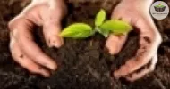 Cursos de Compostagem Orgânica