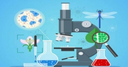 O DESAFIO DO ENSINO E APRENDIZAGEM DE BIOLOGIA NO ENSINO MÉDIO