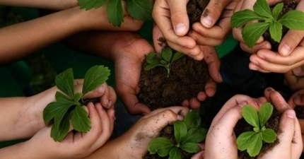 GESTÃO DO MEIO AMBIENTE: SUSTENTABILIDADE E EDUCAÇÃO AMBIENTAL