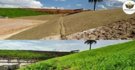 RECUPERAÇÃO DE ÁREAS DEGRADADAS: CAMINHOS PARA RESTAURAR O MEIO AMBIENTE