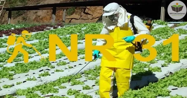 nr 31 - segurança e saúde no trabalho na agricultura, pecuária silvicultura, exploração florestal e aquicultura