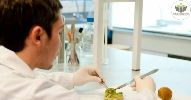 WR Educacional Cursos Gratuitos Com Certificado Válido